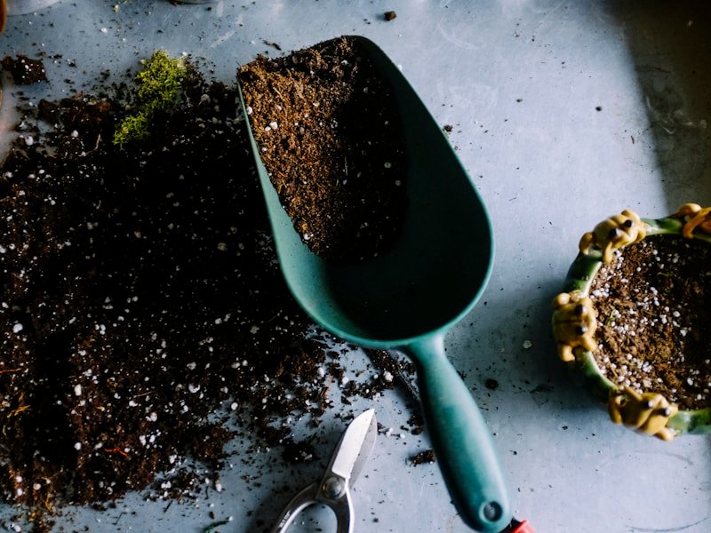Garden trowel with soil and pruning shears representing professional Ottawa lawn fertilization service