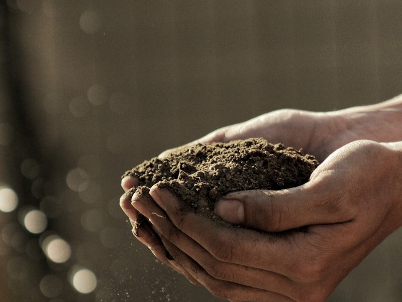 Hands holding rich dark soil — illustrating the soil compaction relief that core aeration provides for Ottawa lawns