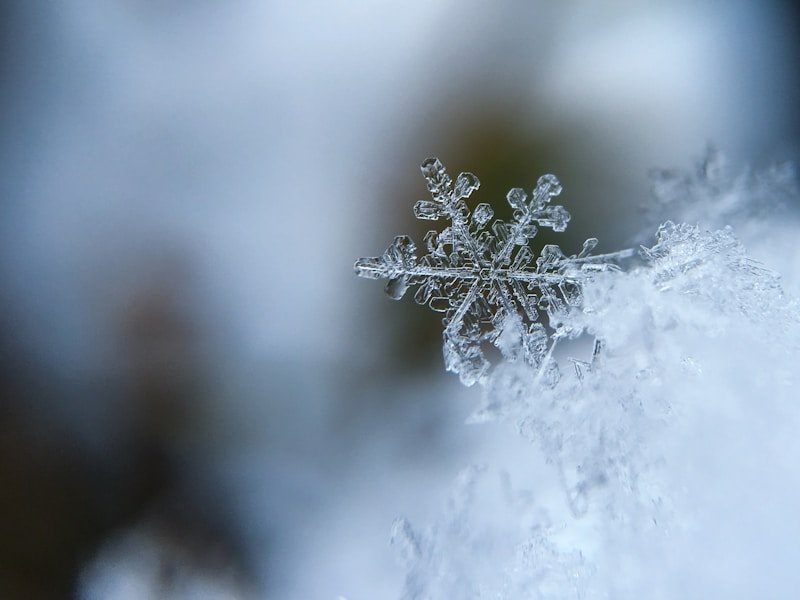 Snowflake macro symbolising the late-winter to early-spring transition when Ottawa lawn cleanup begins